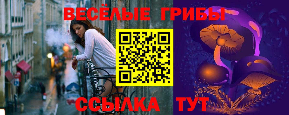 Псилоцибиновые грибы Psilocybe  Вход с VPN  Лесозаводск 